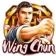 Vịnh Xuân Quyền icon